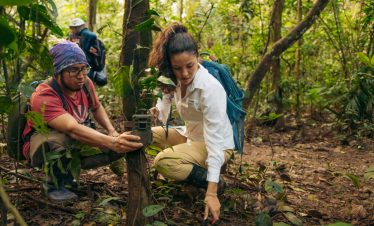Biologen installieren eine Kamerafalle im Gebiet der Tambopata Lodges im Amazonas bei Tambopata
