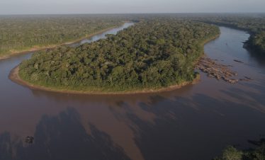 Blick auf einen Nebenfluss des Amazonas und den Dschungel