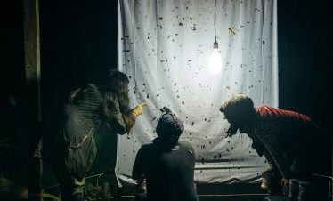 Touristen beobachten Insekten in einer Lichtfalle der Tambopata Lodges
