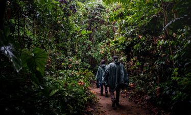 Touristen machen eine Wanderung bei Regen im Dschungel bei Tambopata
