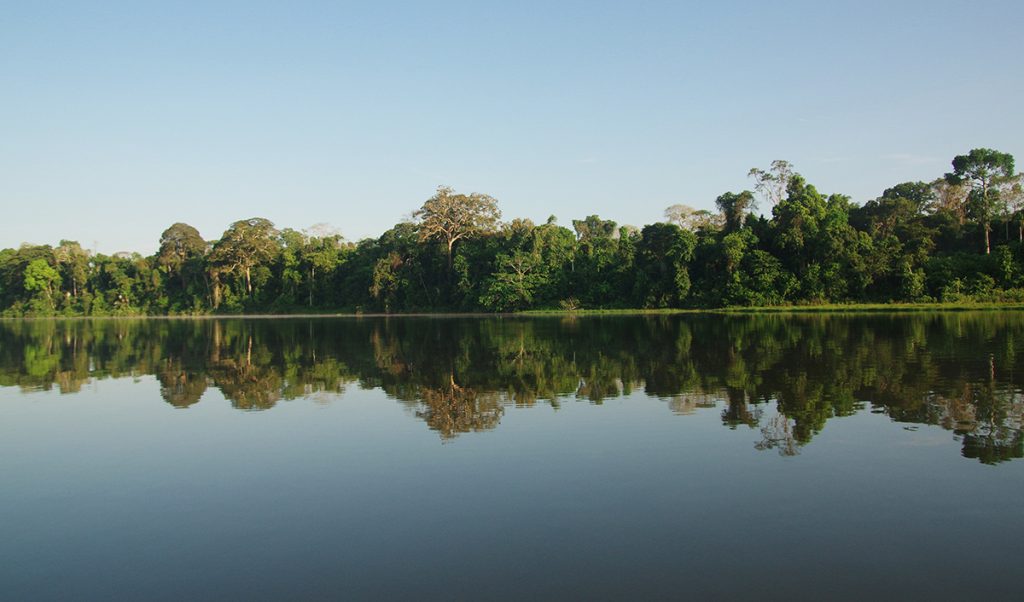 Nationalpark Manu im Amazonas