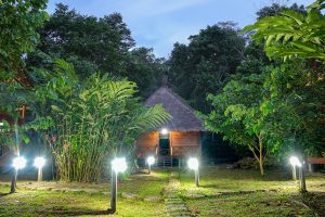 Ein Bungalow der Ñape Lodge im Amazonas bei Tambopata