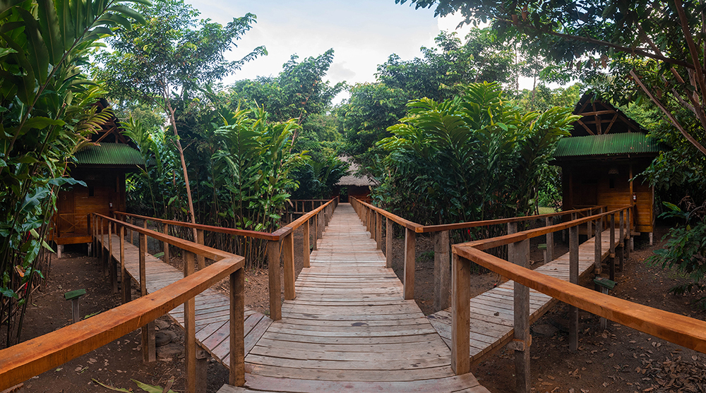 Die Verbindungsstege der Ñape Lodge im Amazonas bei Tambopata