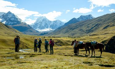 Eine Wandergruppe mit Packpferden auf dem Apu Trail am Fusse des Ausangate