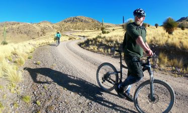 Radfahrer fahren auf einer Schotterstrasse an den Puna Raimondii vorbei