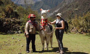 Ein Touristin posiert neben einem schön gescmückten Lama während des Lamatreks "Inka-Lodges" im Tal von Lares