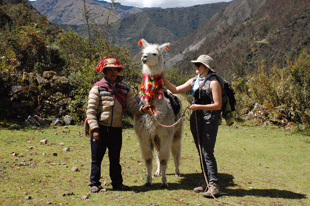 Ein Touristin posiert neben einem schön gescmückten Lama während des Lamatreks "Inka-Lodges" im Tal von Lares