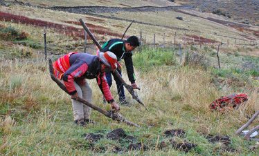 Bauern zeigen wie mit typischen Werkzeugen die Felder bearbeitet werden, während des Lamatreks "Inka-Lodges" im Tal von Lares