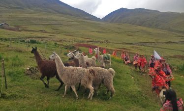 Touristen in traditioneller Bekleidung und Einheimische auf dem Lamatrek "Inka-Lodges" im Tal von Lares