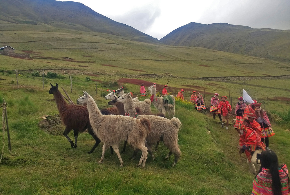Touristen in traditioneller Bekleidung und Einheimische auf dem Lamatrek "Inka-Lodges" im Tal von Lares