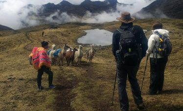 Touristen und Lamas mit ihrem Führer bei einem Aufstieg auf dem Lamatrek "Inka-Lodges" im Tal von Lares