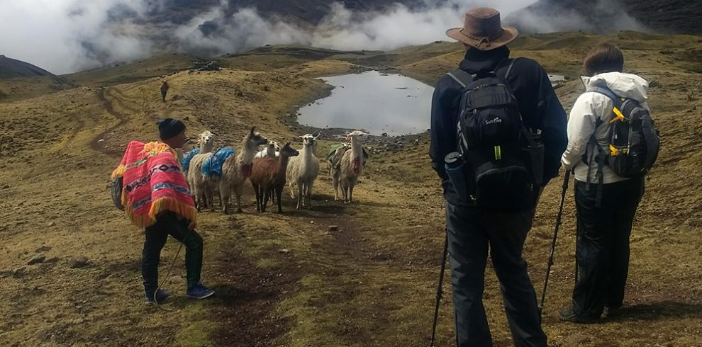 Touristen und Lamas mit ihrem Führer bei einem Aufstieg auf dem Lamatrek "Inka-Lodges" im Tal von Lares