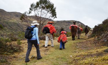 Eine Touristin wandert auf dem Lamatrek "Inka-Lodges" im Tal von Lares hinter einer Lamaherde und dessen Führer her