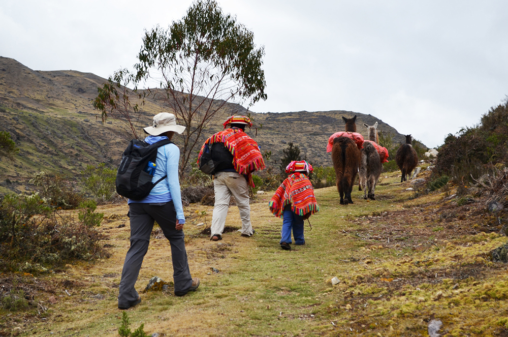 Eine Touristin wandert auf dem Lamatrek "Inka-Lodges" im Tal von Lares hinter einer Lamaherde und dessen Führer her