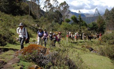 Touristen werden auf dem Lamatrek "Inka-Lodges" im Tal von Lares von einer Lamaherde begleitet