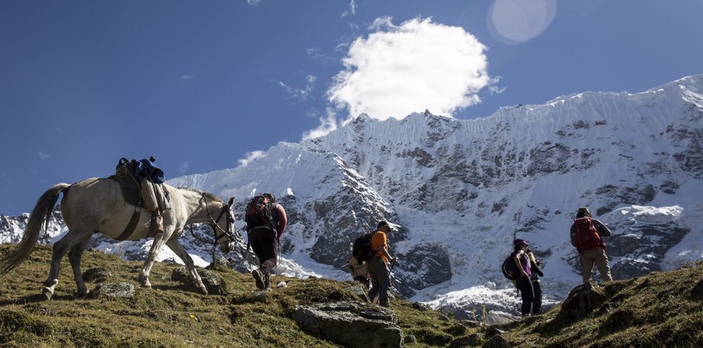 Wanderer und Packpferde kurz vor der Passhöhe beim Salkantay auf dem Salkantay Trekking