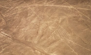 Flug über die Linien von Nasca, Kolibri