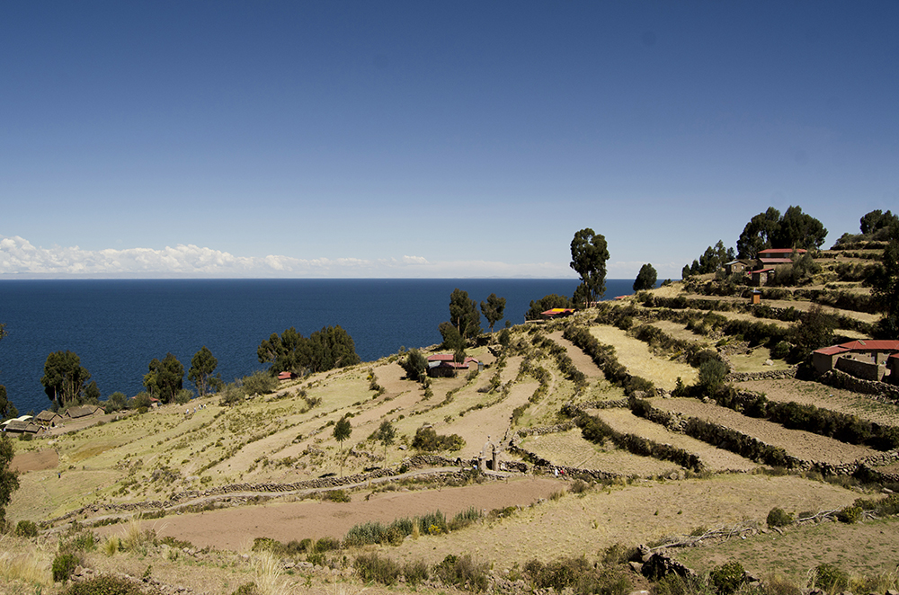 Terrassenförmig angelegte Felder auf der Insel Taquile im Titicacasee