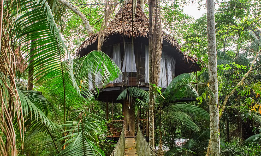 Ein Baumhaus der Treehouse Lodge in Iquitos