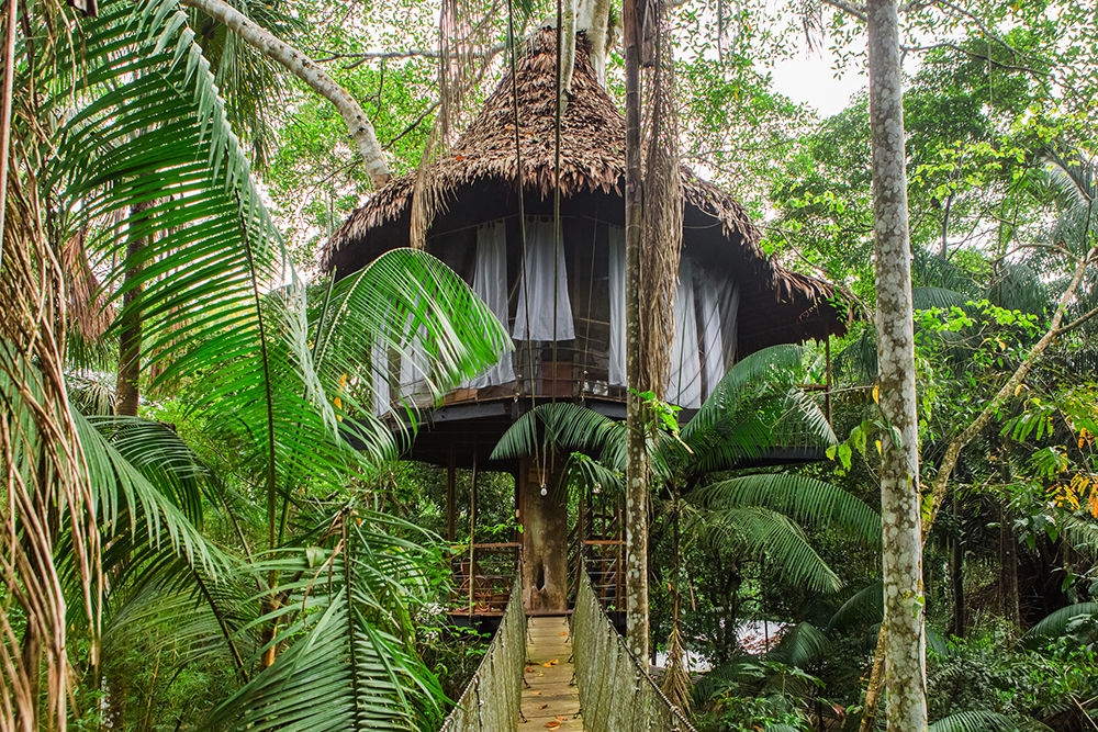 Ein Baumhaus der Treehouse Lodge in Iquitos