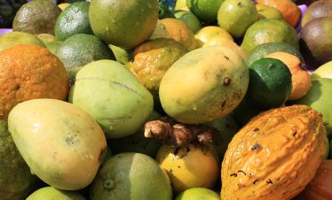 Frisch geerntete Früchte, wie Mango, Kakao, Orangen, Limas und Mandarinen in Maranura
