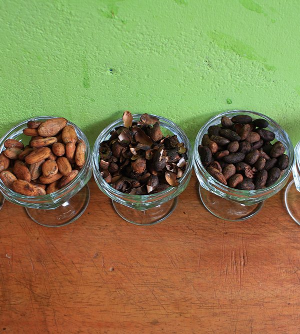 Verschiedene Stadien der Verarbeitung von Kakao in Maranura