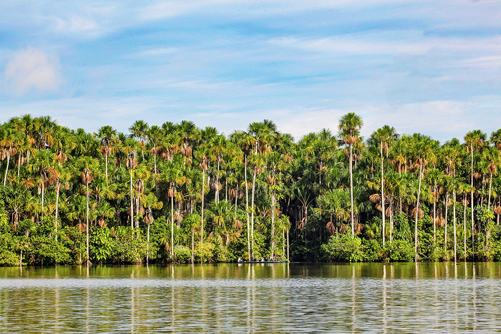 Touristen unternehmen eine Exkursion in einem Kanu auf dem Sandoval See im Naturschutzgebiet Tambopata