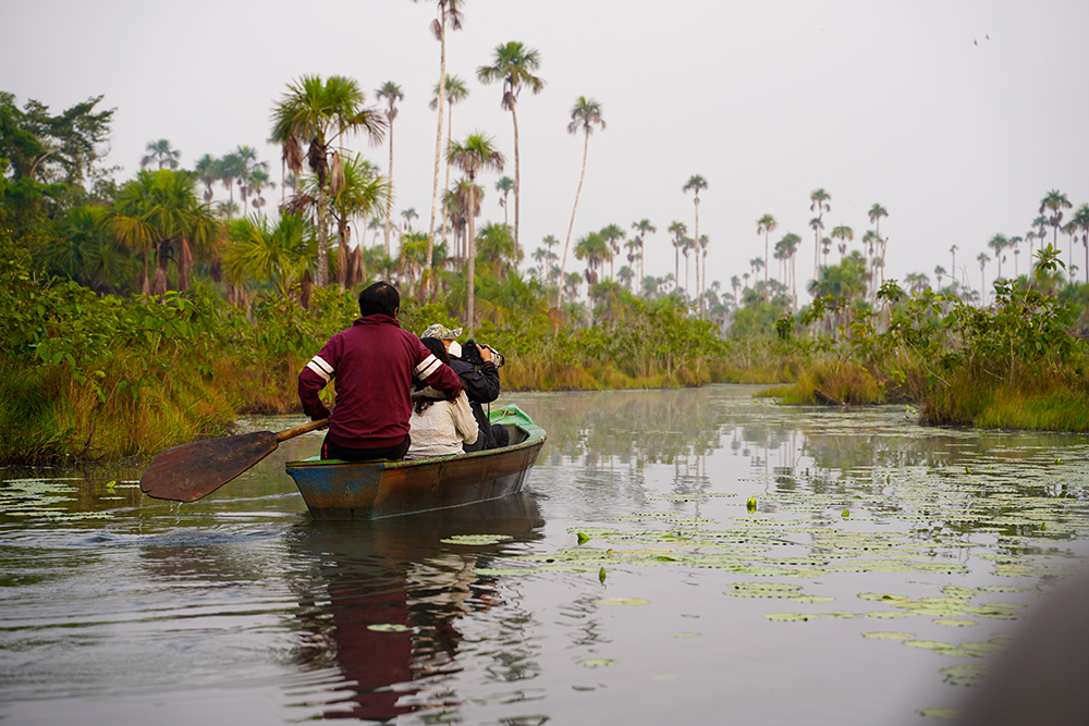 Touristen machen eine Exkursion mit dem Kanu auf dem Yacumama See im Naturschutzgebiet Tambopata